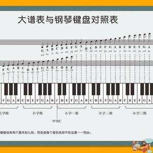 五线谱识谱神器钢琴初学者家用挂图音符对照表大普表与钢琴键盘图