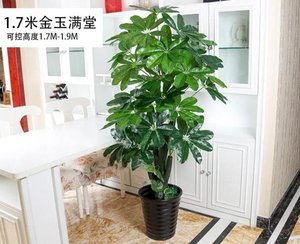 灯笼花树盆栽橱窗绿植富贵树花枝干大厅树植物仿真小大客厅大门。