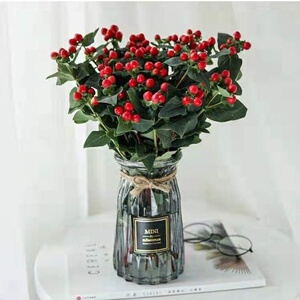 红豆鲜花相思豆鲜花红豆花束云南昆明斗南基地直发办公室家用水养