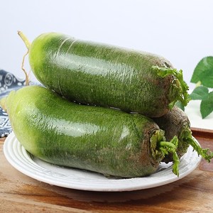 东北绿萝卜新鲜蔬菜沙窝萝卜水果萝卜生吃甜脆爽口绿心青萝卜5斤