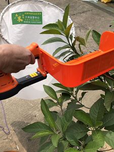 采茶叶机器电动采茶机单人小型新款电动茶叶茶树修剪机剪茶叶自动