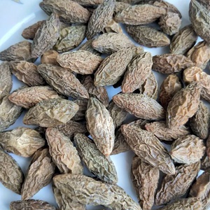 福建特产全盐腌晒淡咸橄榄干青橄榄果干新鲜农家自制新鲜500