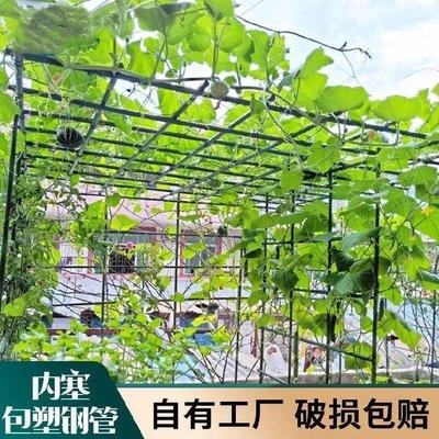 庭院廊架爬藤架花棚架百香果支架杆子月季铁艺植物家用柱子园
