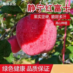 甘肃静宁红富士苹果冰糖心官方旗舰店苹果一级大果30斤整箱