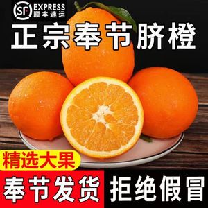 重庆奉节脐橙旗舰店10斤新鲜纽荷尔福本甜橙子当季水果20斤整箱Y
