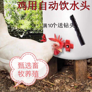 甄选新型散养鸡用饮水器饮水嘴红头自动喂水乳头饮水器养殖设备