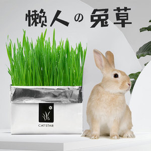兔子吃的草兔草种子自己种植的兔草小麦宠物去除毛球侏儒兔新鲜草