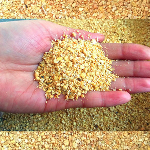 小麦粒100斤