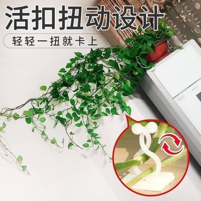 藤蔓植物爬藤牵引钉藤本植物牵引固定绿萝爬墙固定器牵引工具