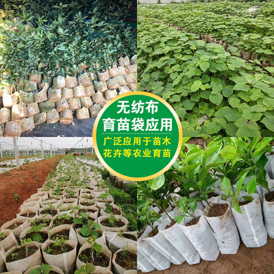 大号营养带塑料育苗袋白色环保神器营养杯果树苗育苗杯种植袋果苗