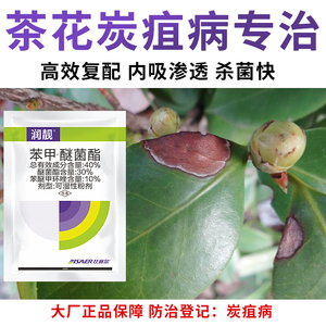 茶花炭疽病专治专用特效药苯醚甲环唑醚菌酯农药杀菌剂病毒病全治
