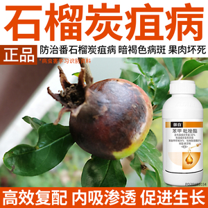 石榴炭疽病专用药苯甲吡唑酯番石榴烂嘴死苗烂果落叶农药杀菌剂
