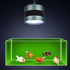 萌虫爆藻灯鱼缸灯爆苔灯金鱼出苔青苔青吊暴虫晒苔灯led