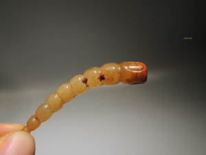 [小格]高古玉老玉 西周中晚期组佩串饰挂件 玉虫 玉蚕蛹