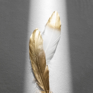 金色羽毛拍照道具天然鹅毛背景装饰ins风网红摆件小饰品美甲手拿道具