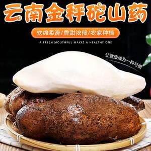 山药5斤新鲜云南金秤砣山药糯米山药口感粉糯现挖杆毛薯扁山药糯