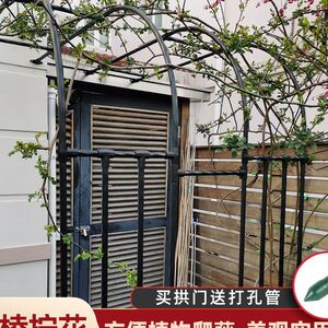 半边拱门爬藤架月季攀爬半拱形支架庭院花园户外藤架阳台靠墙花架