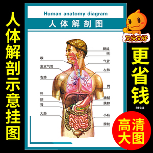 连栋大棚结构图示意图