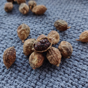 190人付款天猫盐益智仁1g桃子中医馆85.