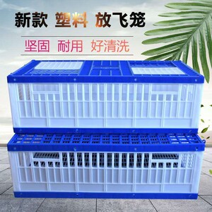 领航鸽子笼放飞笼训放笼折叠训鸽笼塑料报道笼赛信鸽用品鸽具包邮
