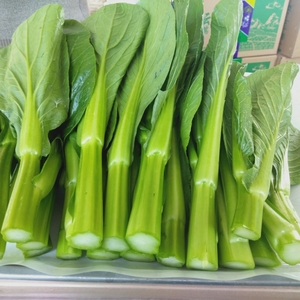 云南新鲜菜心3斤精品蔬菜农家自种菜苔现摘包邮广东青菜心迟菜心