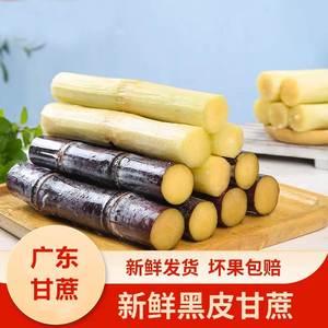 广东新鲜黑皮甘蔗现砍当季水果甜杆果蔗结婚新居乔迁黄皮甘蔗5斤
