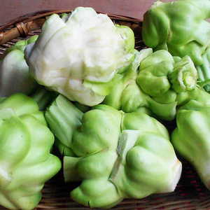 90455人付款淘宝四川广安特产泡青菜奶奶菜青菜梗芥菜梗泡菜邦邦2斤/4