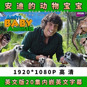 bbc科普真人英文动画安迪的动物宝宝andy baby animals儿童早教