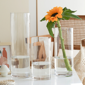 直筒花瓶客厅插花透明玻璃水培富贵竹马醉木雪柳专用高级感摆件大