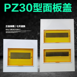 PZ30配电箱面板盖子白色暗明装铁盖板10 12 15 18 20 24 30回路
