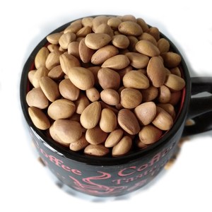 天水松子 1斤装 1袋包邮 甘肃天水特产天水薄皮松子干果炒货新货