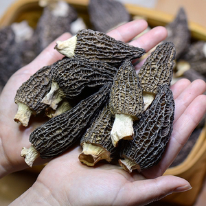 云南特产野生羊肚菌干货25克特级新鲜50克牛肚菌菇煲汤包食材菌汤