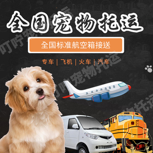 宠物快递全国托运上门