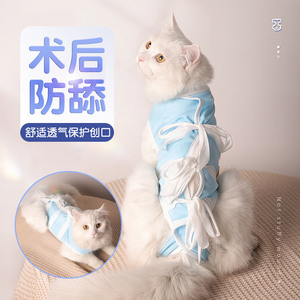 猫咪绝育服小母猫公猫术后服防舔透气断奶防掉毛用品猫猫手术衣服