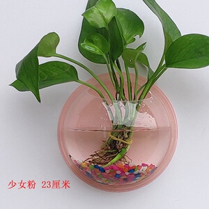 壁画装饰创意挂壁墙上绿萝花瓶客厅壁挂鱼缸房间家居装饰品挂饰
