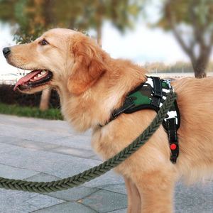 拴狗绳套脖大型德牧防冲爆加粗巨贵柴子牵引哈士奇专用恶霸犬溜狗