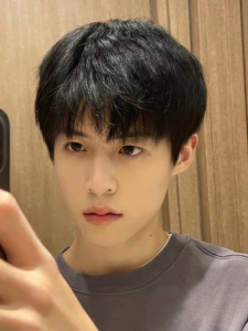 假发男短直发蓬松齐刘海短发网红同款日系碎盖头仿真透气整顶发套