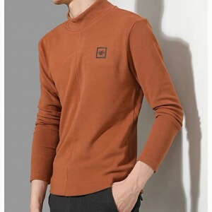 秋冬保暖打底衫男弹力亲肤毛巾棉男士半高领长袖秋衣