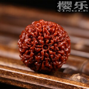 金刚菩提散籽双龙纹