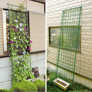 葡萄架爬藤网园艺百香果葡萄植物攀爬藤蔓花卉农用豆角瓜果搭架