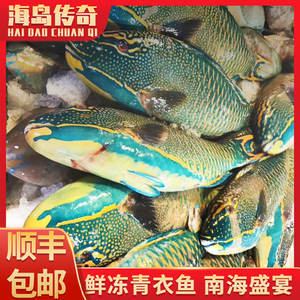 海南三沙 深海捕捞青衣鱼 5斤装(3-5只)野生海鱼鲜活海产速冻