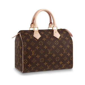 lv/路易威登包包女百搭经典帆布手提包speedy 25枕头包官网旗舰