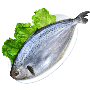 90 0人付款  天猫 阿根廷雪花鲳鱼 2条装约1000克平鱼新鲜冷冻进口