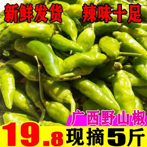 广西野山椒新鲜小米辣椒青辣椒 指天椒朝天椒 尖辣椒5斤泡椒包邮