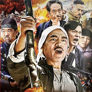 抗日战争电视连续剧光盘 打狗棍 dvd光盘碟片 巍子 黑子 杨志刚