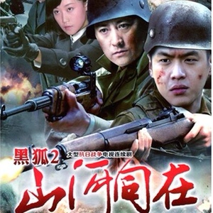 抗日战争电视连续剧 黑狐之山河同在 dvd碟片视频机光盘