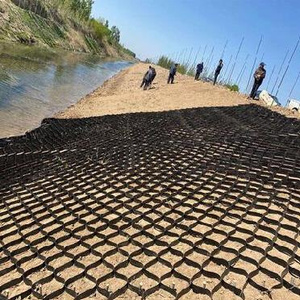 蜂巢护坡网格混凝土护坡防滑坡鱼塘黑色护堤可定做水池高强立体