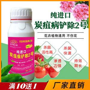 进口炭疽病杀菌剂农药辣椒草莓绣球茶花黄瓜柑橘植物炭疽病专用药