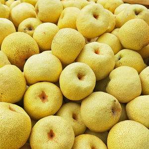 酥梨正宗水果