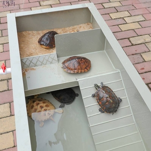养龟池塑料龟箱